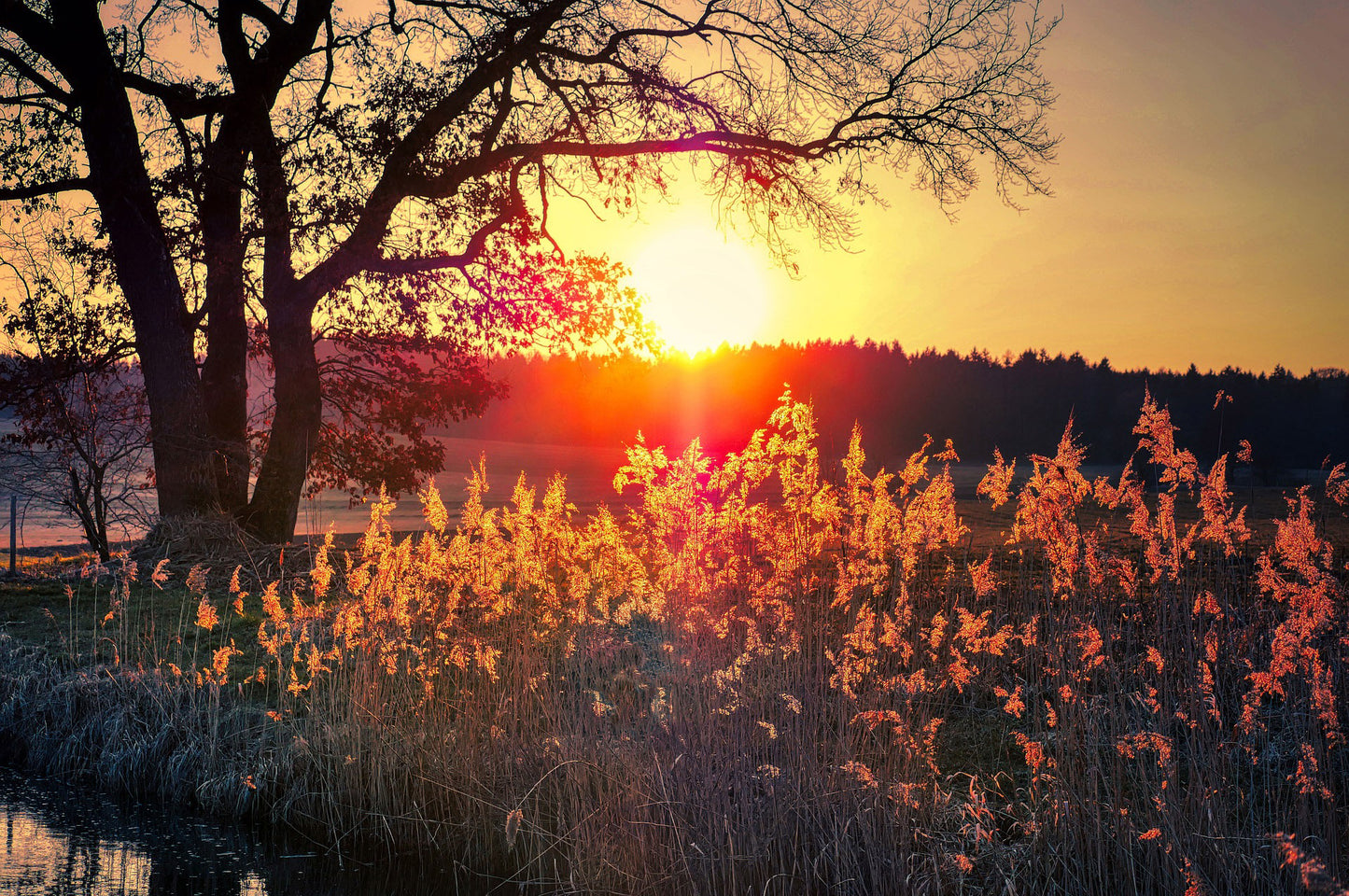 Fitness & Wellness Coaching - 4 Pack